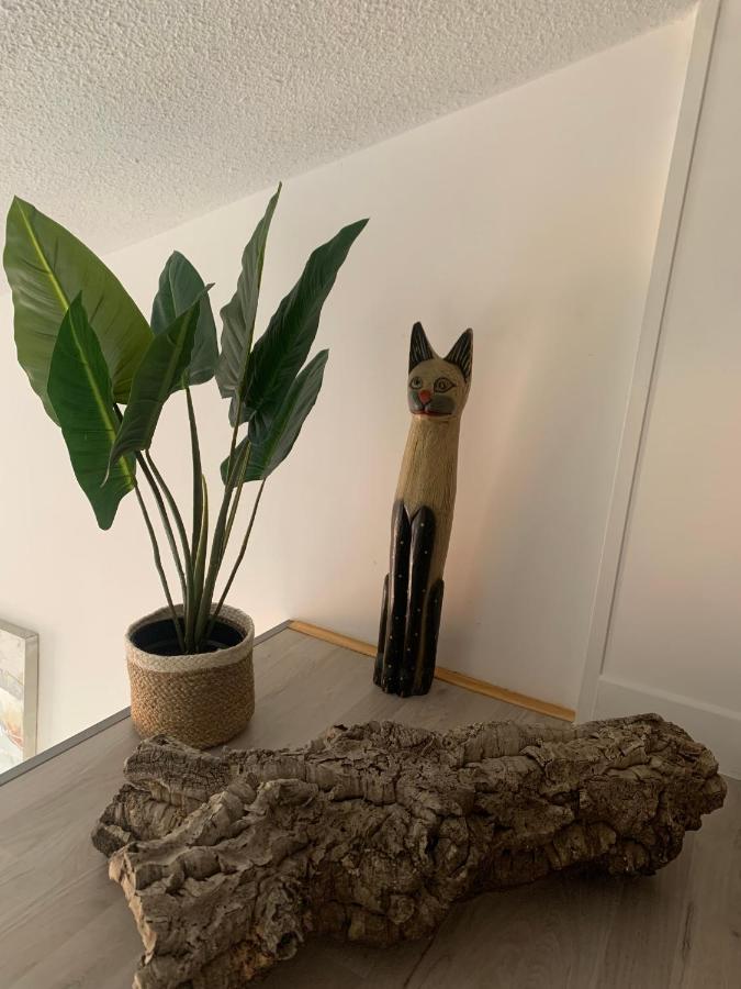 Appartement Duplex Raphael- Wi-Fi Et Parking Prive à Toulon Extérieur photo